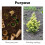 Efficiency Planting, Solid Shaft Auger Drill Bit - Multi-Purpose Garden Auger for Quick and Easy Hole Digging 6