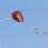 Φωτεινό χρώμα Kite Κομψή εμφάνιση Υπαίθριες δραστηριότητες Εύκολες στην πτήση 5