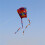 Φωτεινό χρώμα Kite Κομψή εμφάνιση Υπαίθριες δραστηριότητες Εύκολες στην πτήση 3
