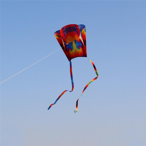 Φωτεινό χρώμα Kite Κομψή εμφάνιση Υπαίθριες δραστηριότητες Εύκολες στην πτήση 2