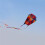 Φωτεινό χρώμα Kite Κομψή εμφάνιση Υπαίθριες δραστηριότητες Εύκολες στην πτήση 2