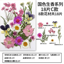 Flori presate, materiale pentru proiecte de artă DIY, flori naturale presate colorate, set de frunze de flori uscate reale pentru fabricarea de