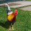 2Stk Huhn Garten Schild Simulation Hühnerhof Küken 9
