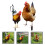 2Stk Huhn Garten Schild Simulation Hühnerhof Küken 4