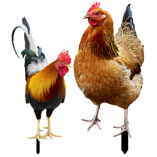 2Stk Huhn Garten Schild Simulation Hühnerhof Küken 2