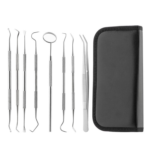 Dental care tools 8 parts with case Silver Silver 1