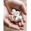 Ceramic Chopstick Rest Stand for Dining Table, Creative White Holder Pillow, 2x4.2x3.4cm 3