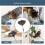 Flexible Natural Feathered Duster With AntiStatic-Long handle 4