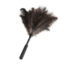 Retractable AntiDust Natural Feathered Cleaning-Short handle
