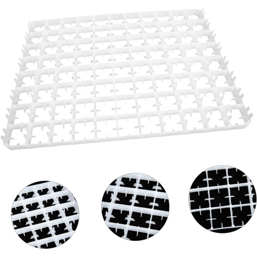 Egg Storage Tray with Lid Sturdy Plastic Egg Holder for Kitchen Refrigerator Incubation 2