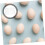 Egg Storage Tray with Lid Sturdy Plastic Egg Holder for Kitchen Refrigerator Incubation 4