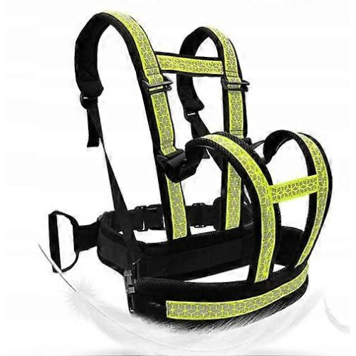 Seat Belt Child Harness Motor Motorcycle 2