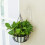 Vintage Design Shepherds Hook, εύκολη εγκατάσταση, ανθεκτικό στη σκουριά, βαρέως τύπου, 6