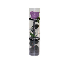 Unique Gifts For Women, Preserved Rose, Real Rose In Glass Dome, Exquisite Box Packaging, Perfect For Birthdays, Weddings, And Graduations