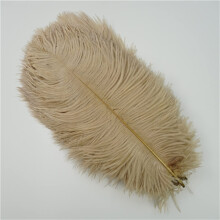 Colored Ostrich Feathers 10Pcs Lot for Crafts Wedding Table Centerpieces Carnival Decor 3035cm (Color 21)