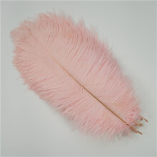 Colored Ostrich Feathers 10pcs Set for Crafts, Wedding Centerpieces, Carnival Decor, 2530cm (Color 18)