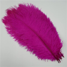 10 Pcs Colored Ostrich Feathers 4550cm for Wedding Centerpieces Table Decor Crafts Carnival Accessories (Color 20)