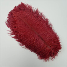 10Pcs Colored Ostrich Feathers 5560cm for Wedding Centerpieces Crafts Carnival Decor (Color 25)