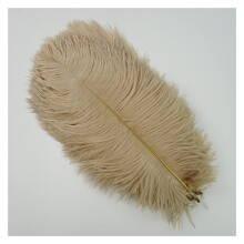 10pcs Colorful Ostrich Feathers 5055cm for Wedding Centerpieces Party Crafts Carnival Decor