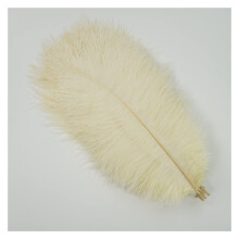 10pcs Colorful Ostrich Feathers 4045cm for Wedding Centerpieces Party Crafts Carnival Decor