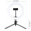 Modifiable Color Temperature Hoop Light Including Phone Clip 3