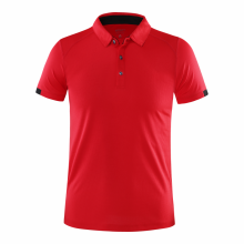 (Red, 2XL) Casual Sports Quick-drying Lapel Short-sleeved POLO Shirt Cycling Suit Fitness Suit For Men Own Brand