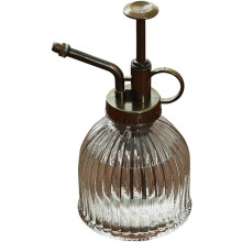 Vaporisateur vintage à brume fine, atomiseur décoratif en verre pour l'arrosage des plantes d'intérieur et l'entretien des terrariums, mini