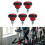 5 Stück Fitness-Einstellknopf, Schnellspanner, 12