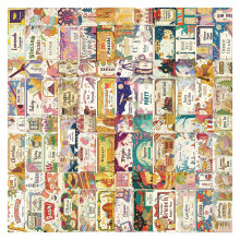 50 Whimsical Ticket Stickers Peelable PVC Art for Journals DIY Projects And Gift