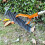 Space Saving Thatch Rakes Interchangeable Components-130CM 7