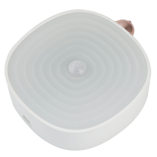Καθρέφτης μακιγιάζ LED με vintage βιομηχανικό σχεδιασμό, επαναφορτιζόμενος καθρέφτης 2