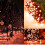 Orange String Lights, Waterproof 8 Functions LED Festoon Lights with Memory Function, Connectable Outdoor Indoor Holiday Decorations, Safe Plug Low Vo 5