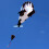 Ενισχυμένο κορδόνι χαρταετού για Giant3D Animal Kite, μαλακός χαρταετός Parafoil χωρίς 6