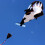 Ενισχυμένο κορδόνι χαρταετού για Giant3D Animal Kite, μαλακός χαρταετός Parafoil χωρίς 5
