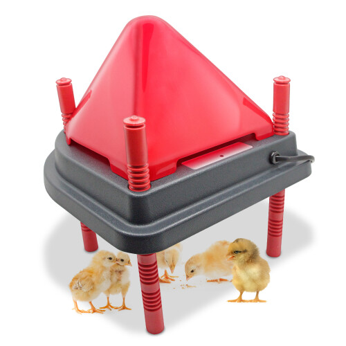 chauffe-poulets, plaque chauffante pour poulets d'élevage 1