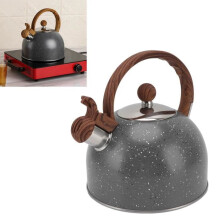 Whistling Kettle - GOTOTOP - Grey Model - Stainless Steel - Capacity 2.5 L - Transparent Whistle