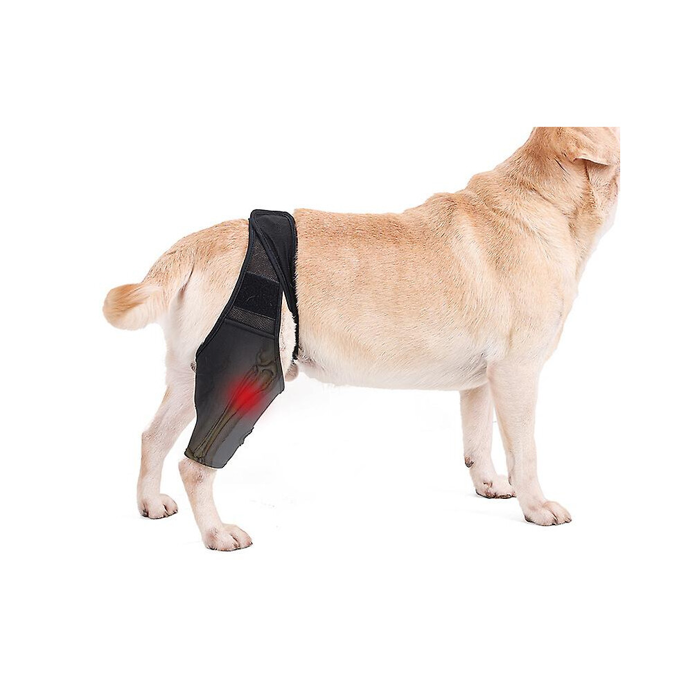 Adjustable Dog ACL Brace, Neoprene Material Offers Superior Support in Healing Cruciate Ligament Injuries, Breathable Design Promotes Comfortable Reco