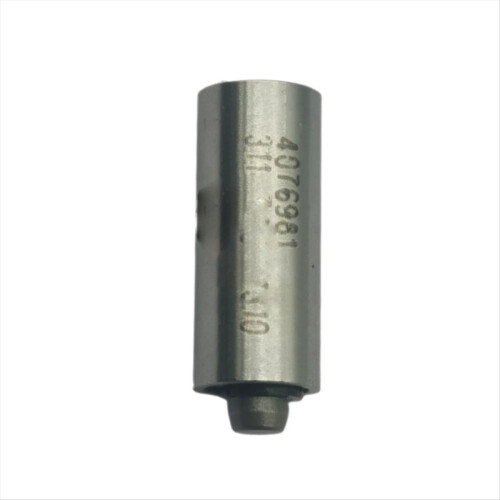Car General Engine Inspection Valve Return Check 4076981 for M11 Serie 2