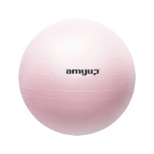 Anti Burst Exercise Ball For Core Strength, Physical Therapy, Flexible Seating, Stability & Comfort, Anti Slip Surface, Heavy Duty Gym Ball, Versatile