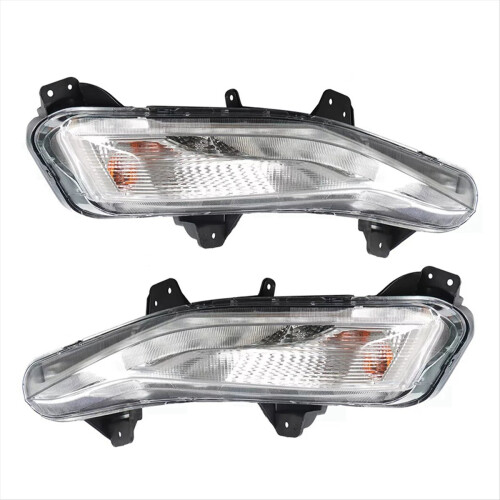 Blinker mit LED-Tagfahrlicht und Nebelscheinwerfer für die Stoßstange (2019-2020) 1