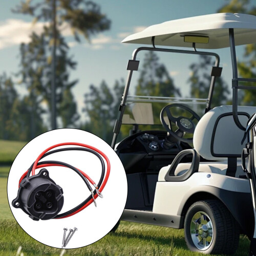 le chargeur de chariot de golf 48V charge rapidement construit 1