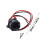 le chargeur de chariot de golf 48V charge rapidement construit 3