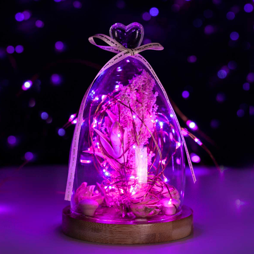 Micro LED String Lights, Waterproof for Plant Arrangements and Patio Decor, USB Plug and Timer Feature (16ft, 50 LEDs) 2