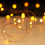 Micro LED String Lights, Waterproof for Plant Arrangements and Patio Decor, USB Plug and Timer Feature (16ft, 50 LEDs) 2