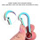 Classic Shape Carabiner, Exquisite Grinding Technology For Smooth Surface One-hand Operation 4