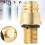 Βαλβίδα CO2Tank M18*1.5Thread, Βαλβίδα Pin από ορείχαλκο με κατασκευή από συμπαγές ορείχαλκο 8