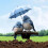 Acrylic 2D flat bird with umbrella garden stake 2