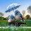 Acrylic 2D flat bird with umbrella garden stake 5