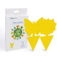 Fruit Fly Sticky Trap 36 Pack for Indoor Outdoor Plants, Fungus Gnat, Mosquito and Whitefly Control