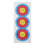 Χαρτί Στόχου Τοξοβολίας Recurve 40x60cm Υψηλής Ποιότητας Αδιάβροχο Ισχυρό Ανθεκτικό 6